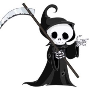 Meet your Posher, Zach